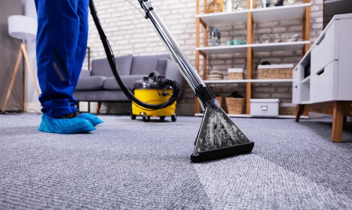 Steam Carpet Cleaning Orchid Cleaning Services